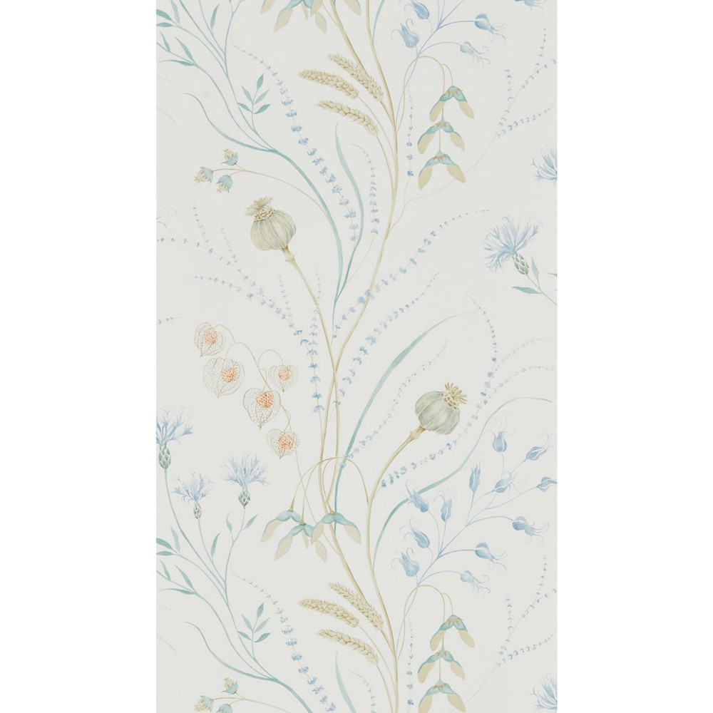 Summer Harvest Wallpaper 216496 by Sanderson in Cornflower Wheat